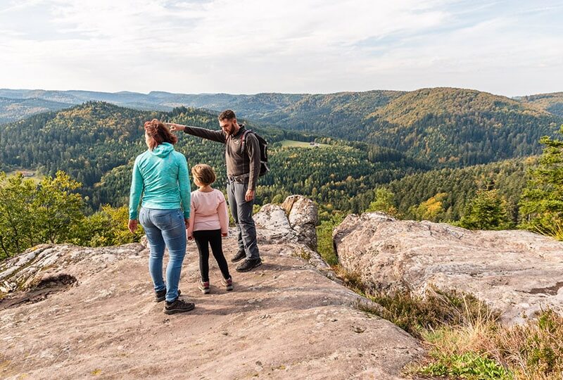 DABO LA HOUBE - Résidence à fort potentiel touristique à vendre