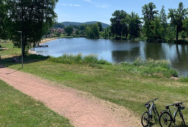 MOSELLE EST : camping à reprendre