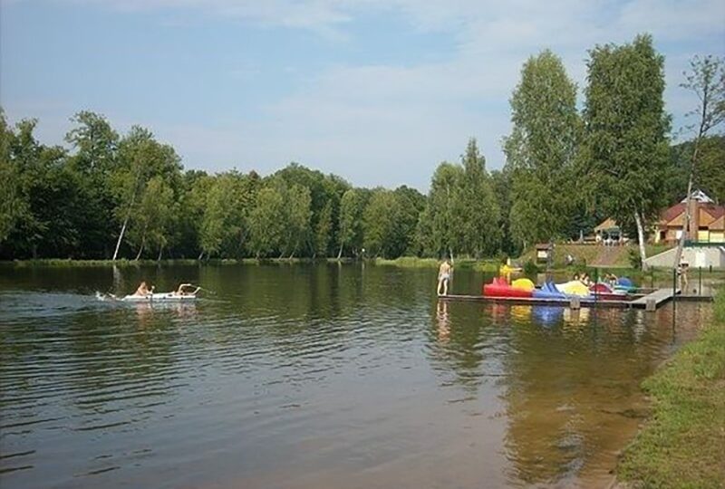 MOSELLE EST : camping à reprendre