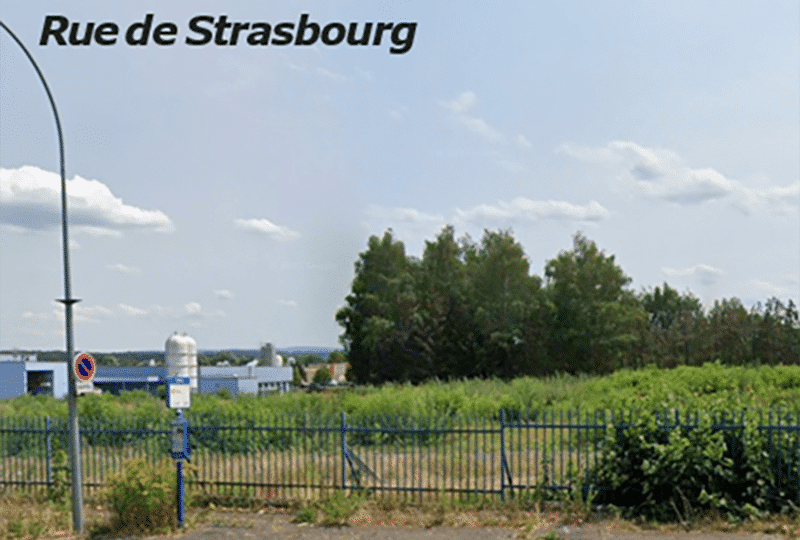 Sarrebourg : 9 567 m² de foncier d'activité à vendre