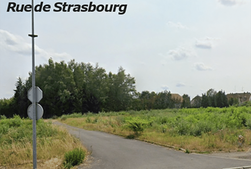 Sarrebourg : 9 567 m² de foncier d'activité à vendre