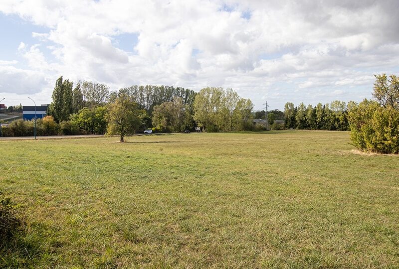 Zone d'activités Maisons Rouges à Phalsbourg : parcelle de l'arbre vert